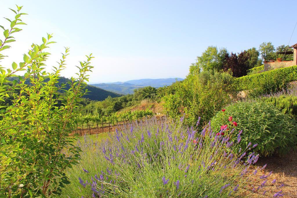 Apartmán Sandra House Castellina in Chianti Exteriér fotografie